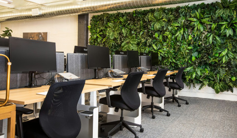 A green office space with a wall of plants.