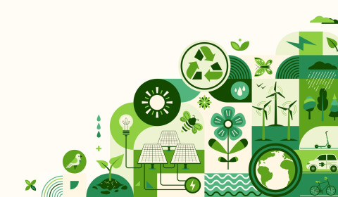 Illustration made up of various images to represent sustainability, including a recycling symbol, leaves, an electric car, insects and a wind farm