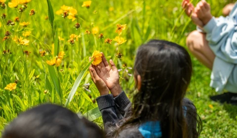 Image of children looking at flowers