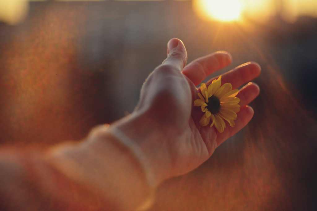 A hand offering a flower.