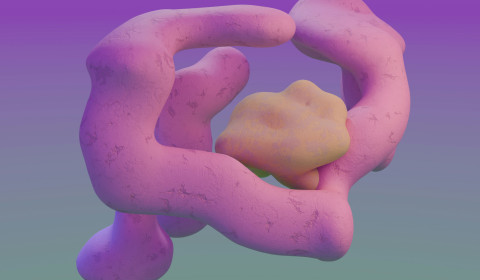 Image of a pink abstract shape that looks like the gut on a purple and grey background