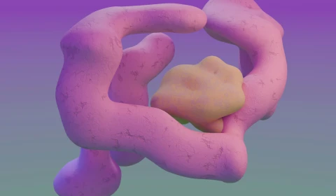 Image of a pink abstract shape that looks like the gut on a purple and grey background