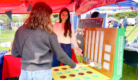 people playing a game of Whac a mole